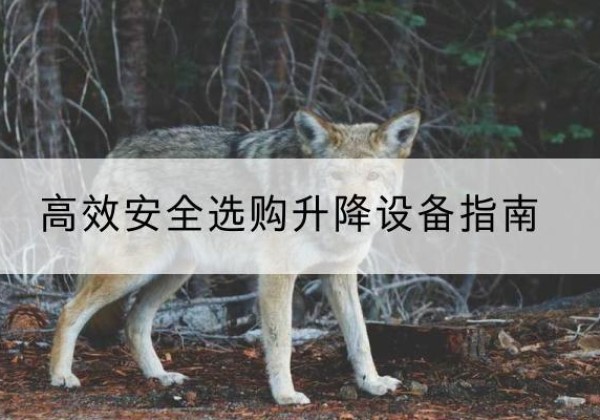 海州升降货梯厂家推荐-*安全选购升降设备指南